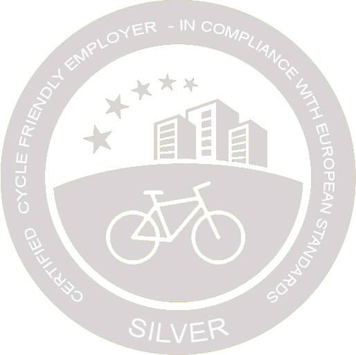 CFE - Logo - Bronze